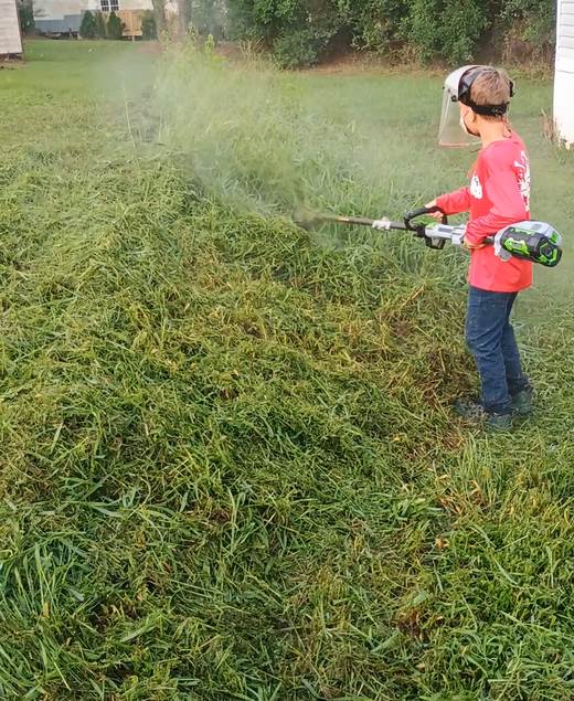 Knocking down waist-high grass on an overgrown lot